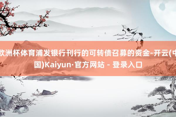 欧洲杯体育浦发银行刊行的可转债召募的资金-开云(中国)Kaiyun·官方网站 - 登录入口