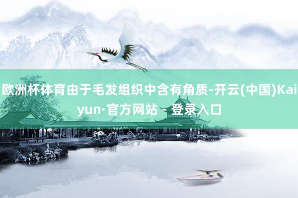 欧洲杯体育由于毛发组织中含有角质-开云(中国)Kaiyun·官方网站 - 登录入口