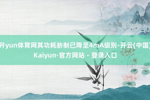 开yun体育网其功耗胁制已降至4mA级别-开云(中国)Kaiyun·官方网站 - 登录入口