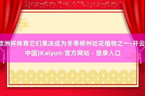 欧洲杯体育它们果决成为冬季柳州吐花植物之一-开云(中国)Kaiyun·官方网站 - 登录入口