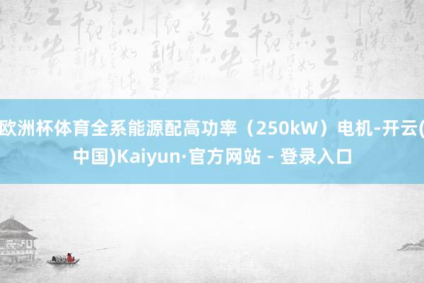 欧洲杯体育全系能源配高功率（250kW）电机-开云(中国)Kaiyun·官方网站 - 登录入口