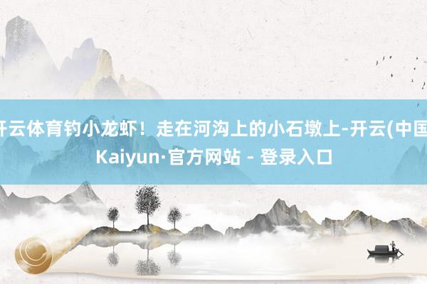 开云体育钓小龙虾！走在河沟上的小石墩上-开云(中国)Kaiyun·官方网站 - 登录入口