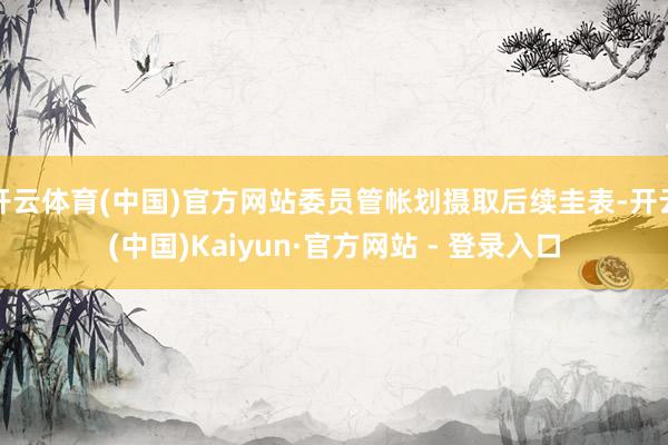 开云体育(中国)官方网站委员管帐划摄取后续圭表-开云(中国)Kaiyun·官方网站 - 登录入口
