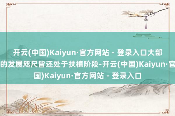 开云(中国)Kaiyun·官方网站 - 登录入口大部分中资企业在越南的发展咫尺皆还处于扶植阶段-开云(中国)Kaiyun·官方网站 - 登录入口