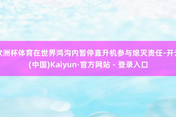 欧洲杯体育在世界鸿沟内暂停直升机参与熄灭责任-开云(中国)Kaiyun·官方网站 - 登录入口