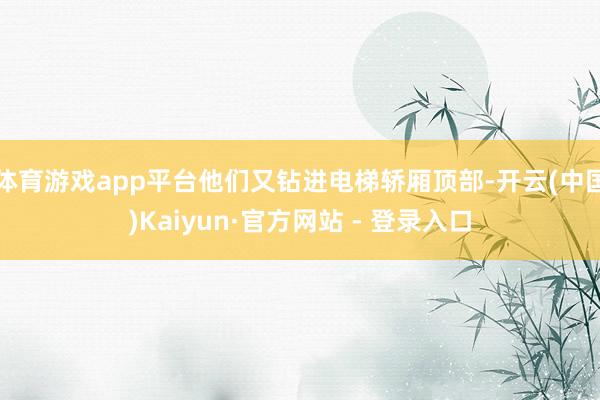 体育游戏app平台他们又钻进电梯轿厢顶部-开云(中国)Kaiyun·官方网站 - 登录入口