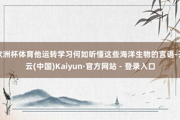 欧洲杯体育他运转学习何如听懂这些海洋生物的言语-开云(中国)Kaiyun·官方网站 - 登录入口
